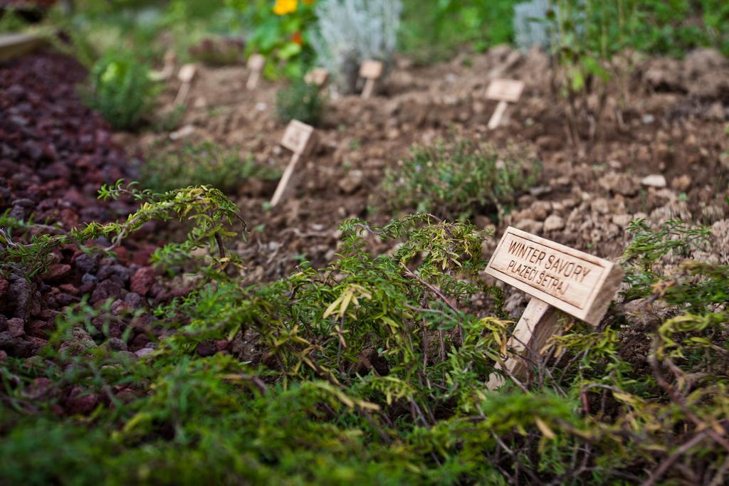 Herbal Glamping Resort Ljubno 外观 照片